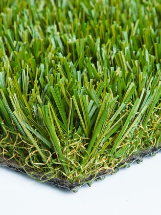 Diamond Light Fescue Turf