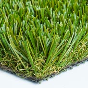 Diamond Light Fescue Turf