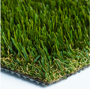 Diamond Pro Fescue Turf