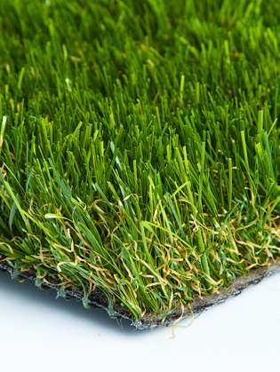 Sierra Pro Turf