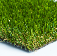 Sierra Pro Turf