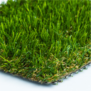 Sierra Turf